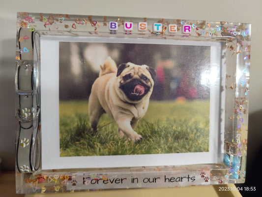 Pet Memorial Photo frame