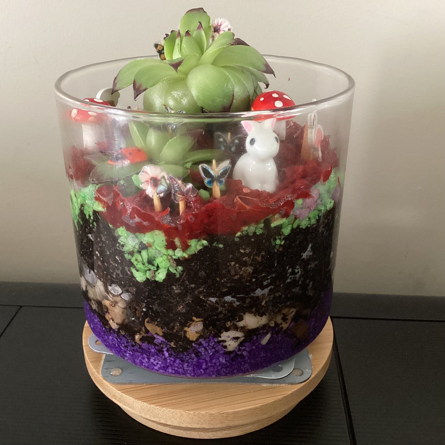 Terrarium 